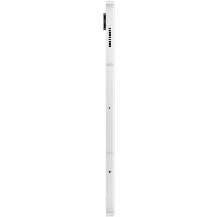 Planšetdatori Samsung Galaxy Tab S9 FE Wifi 6+128GB Silver